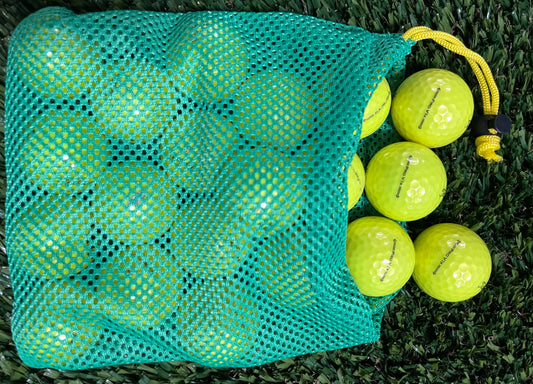 Titleist Pro V1x 2021 Yellow - 1 dozen in Mesh Bag